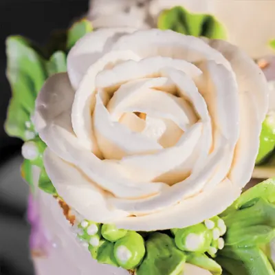 Summer Flowers - Cake Catalog by Jackson Lily's