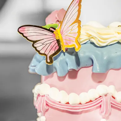 Tranquillity - Cake Catalog by Jackson Lily's